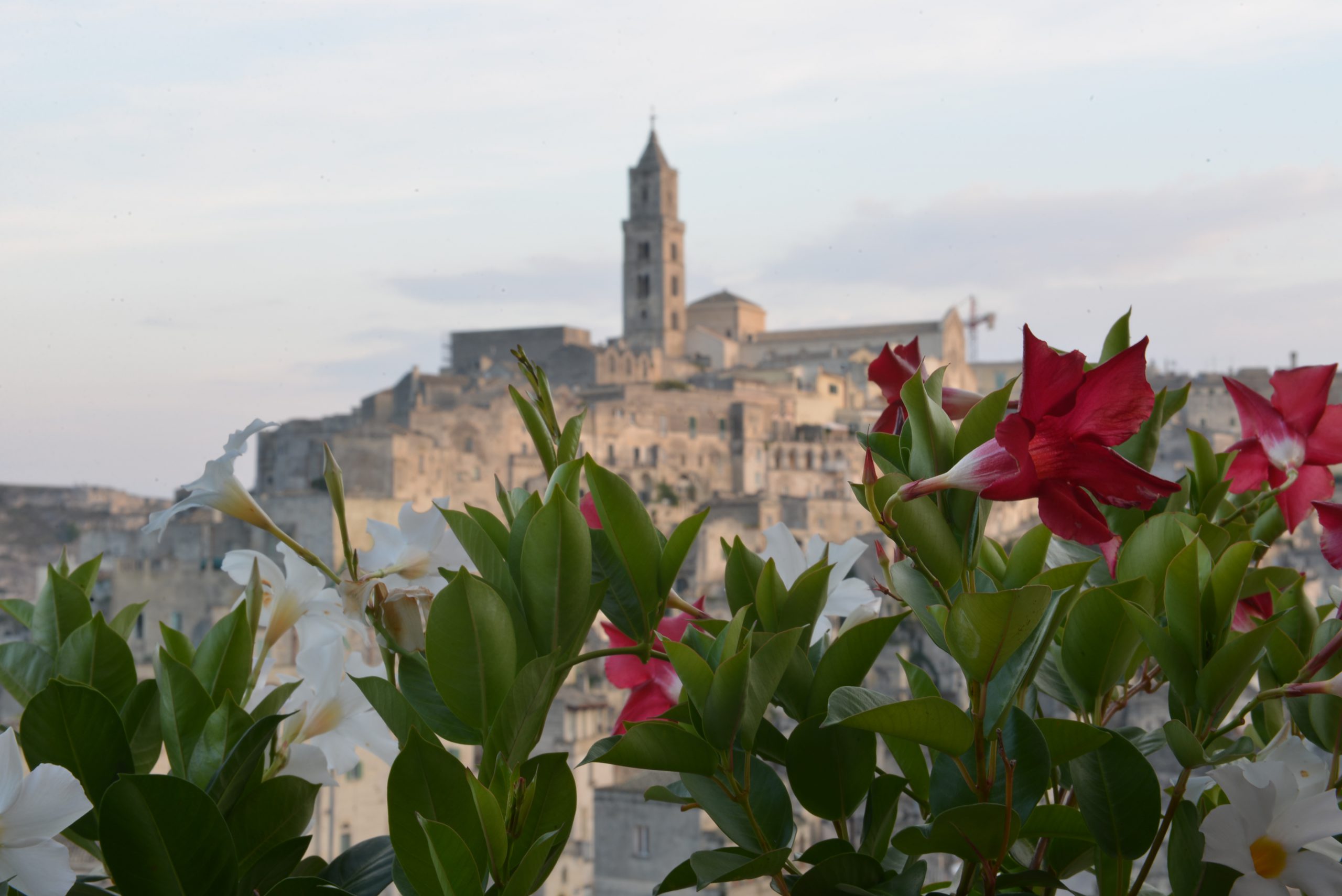 Sassi di Matera and Flowers l'Affaccio dell'Abate Holiday Home